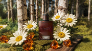 Midnight Birch Cologne - Warm Daily Profile