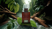 Rainforest Mist Cologne - Essential Outdoor Blend