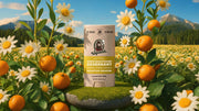 Mountain Meadow Deodorant - Simple Guard