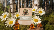 Birchwood Breeze - Outdoor Trail Start