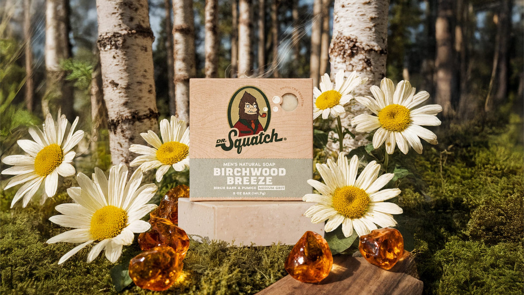 Birchwood Breeze - Outdoor Trail Start