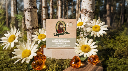 Birchwood Breeze - Outdoor Trail Start