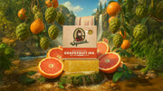 Grapefruit IPA - Daily Shower Wash
