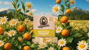 Mountain Meadow - Daily Start