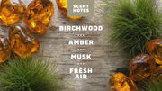 Birchwood Breeze Invisible Glide Deodorant - Simple Carry