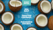 Coconut Castaway - Fresh Clean