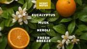 Mountain Meadow Spray Deodorant - Modern Daily Routine