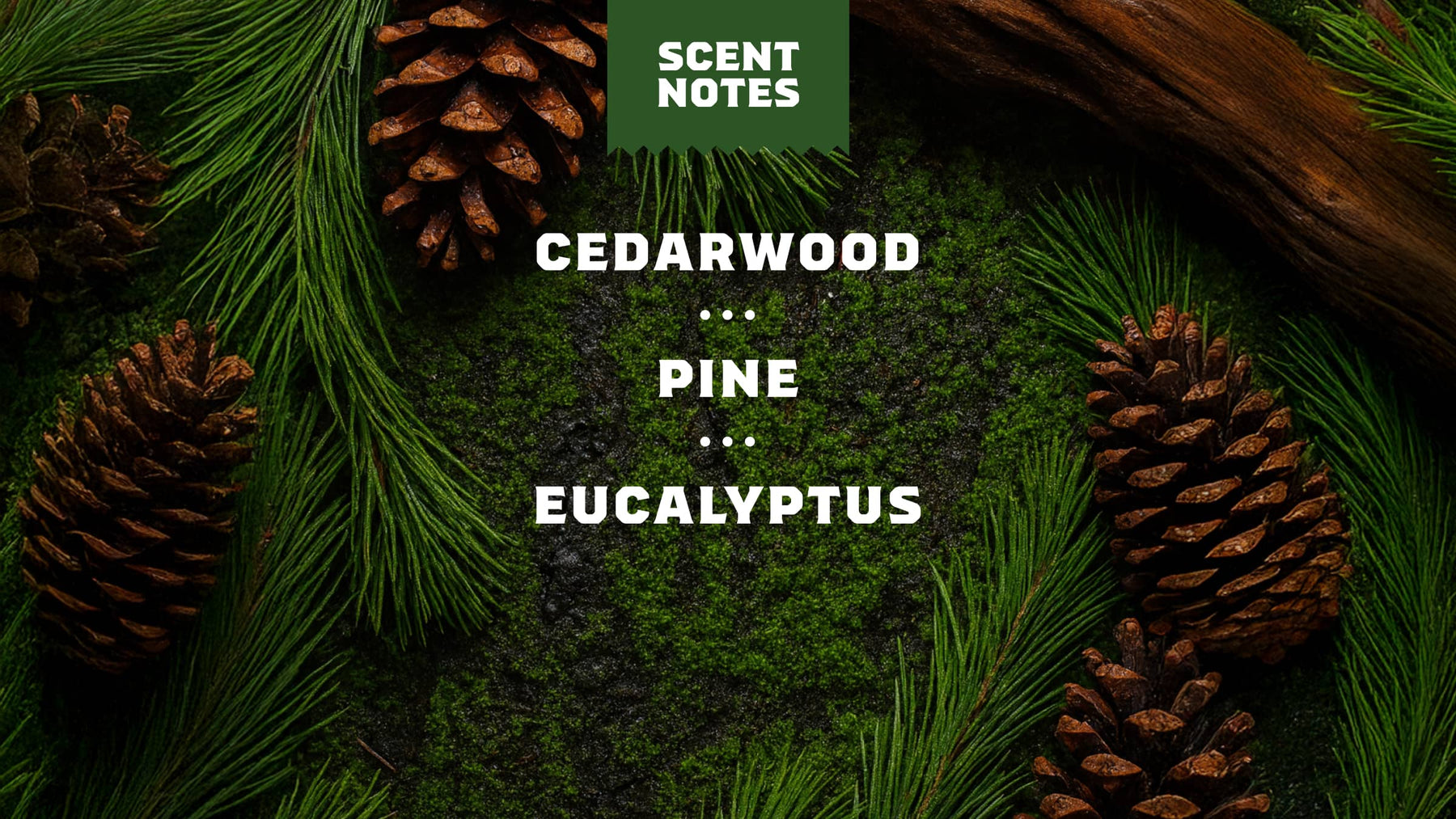Conditioning Beard Oil & Cologne Woodland Pine - Bright Daily Blend