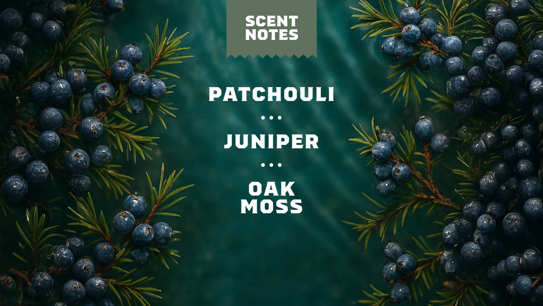Sierra Storm - Ridge Clean