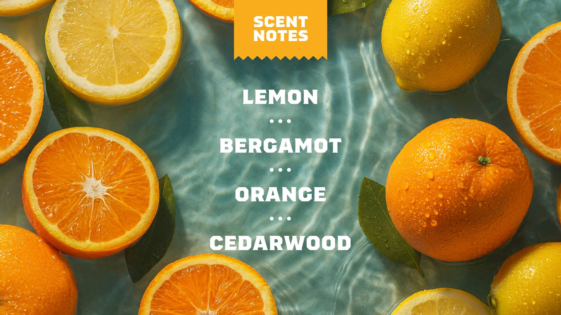 14 oz Summer Citrus Body Wash - Fresh Daily Routine