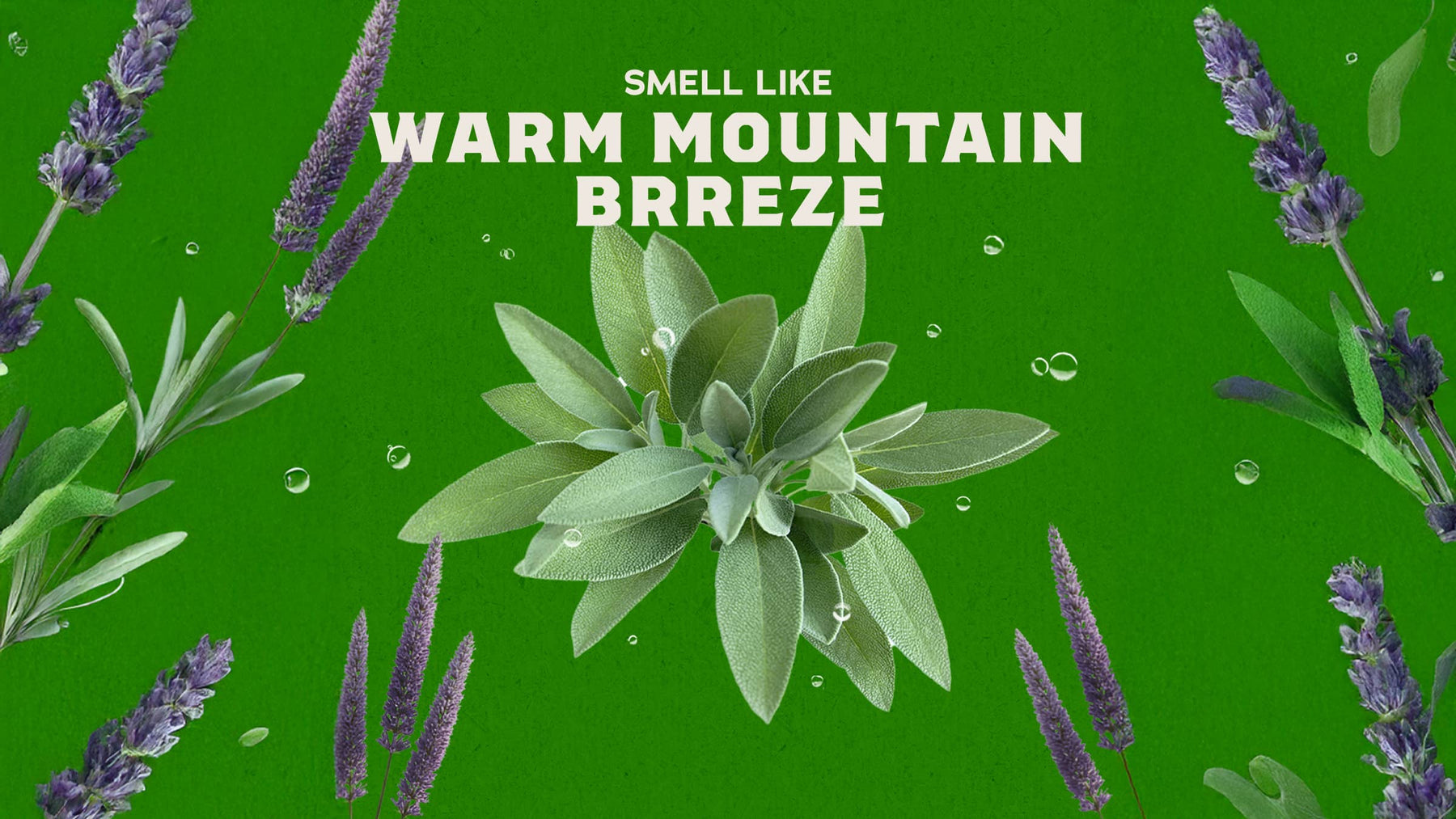 Deodorant Christian - Essential Fresh Start