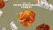 Birchwood Breeze - Outdoor Trail Start