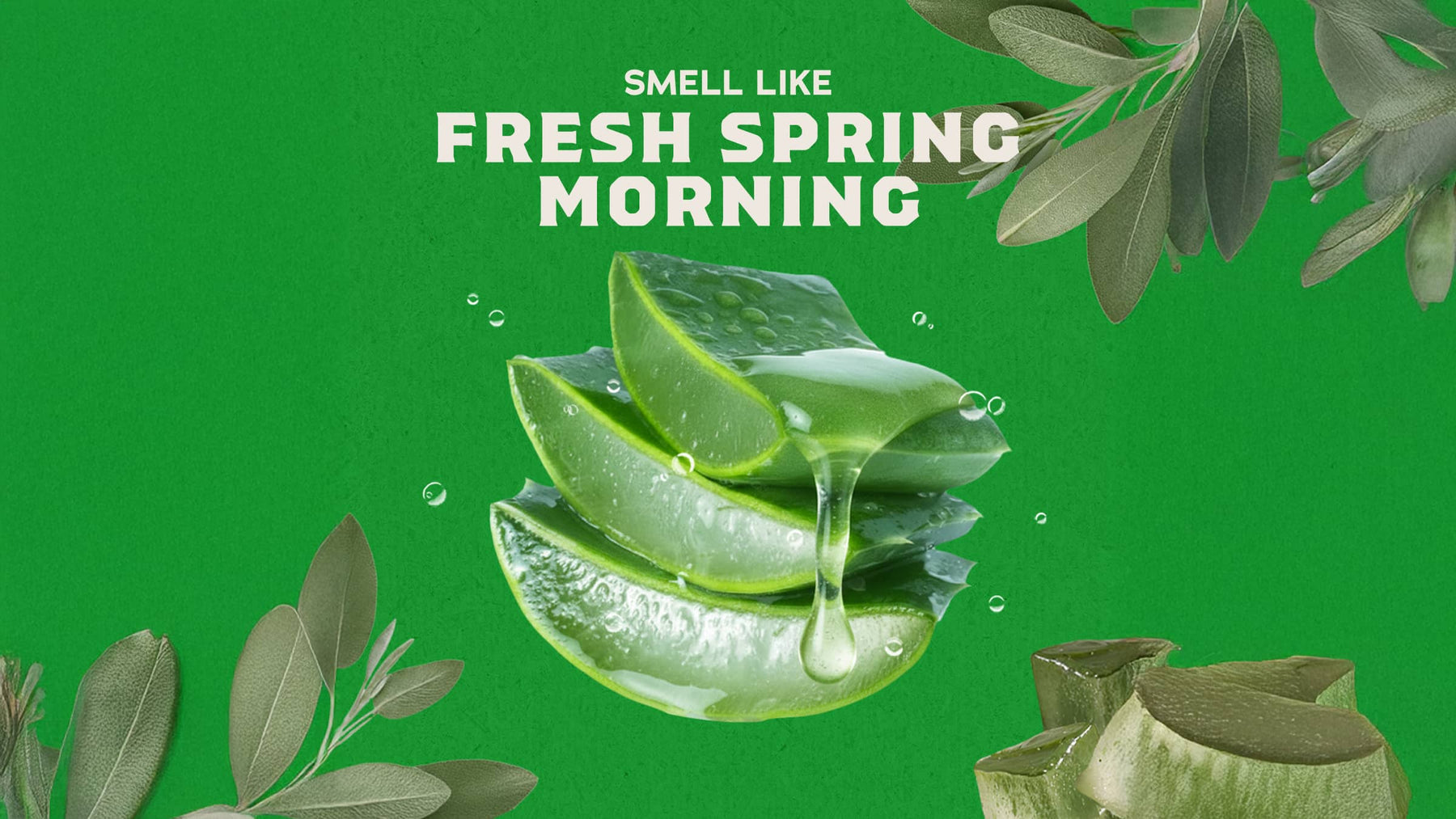 Cool Fresh Aloe Conditioner - Classic Routine