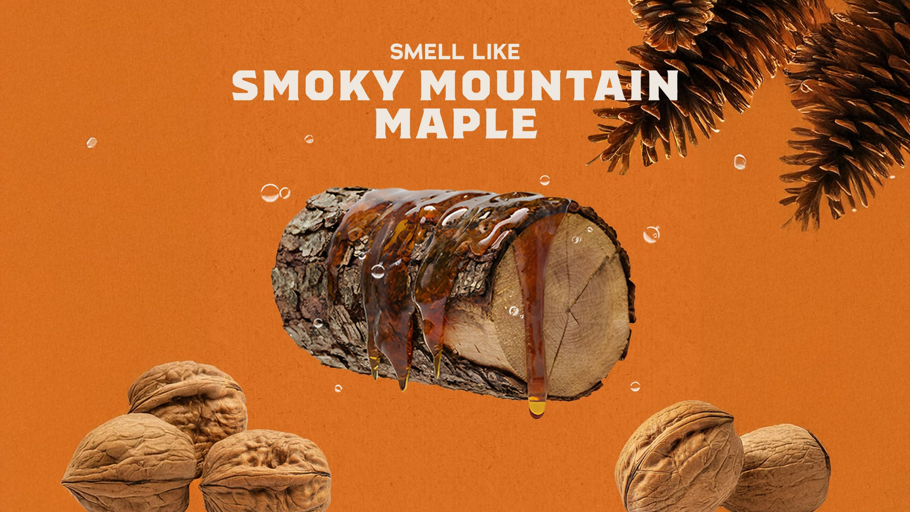 Lumberjack Lodge - Modern Fresh Wash