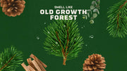 Conditioning Beard Oil & Cologne Woodland Pine - Bright Daily Blend