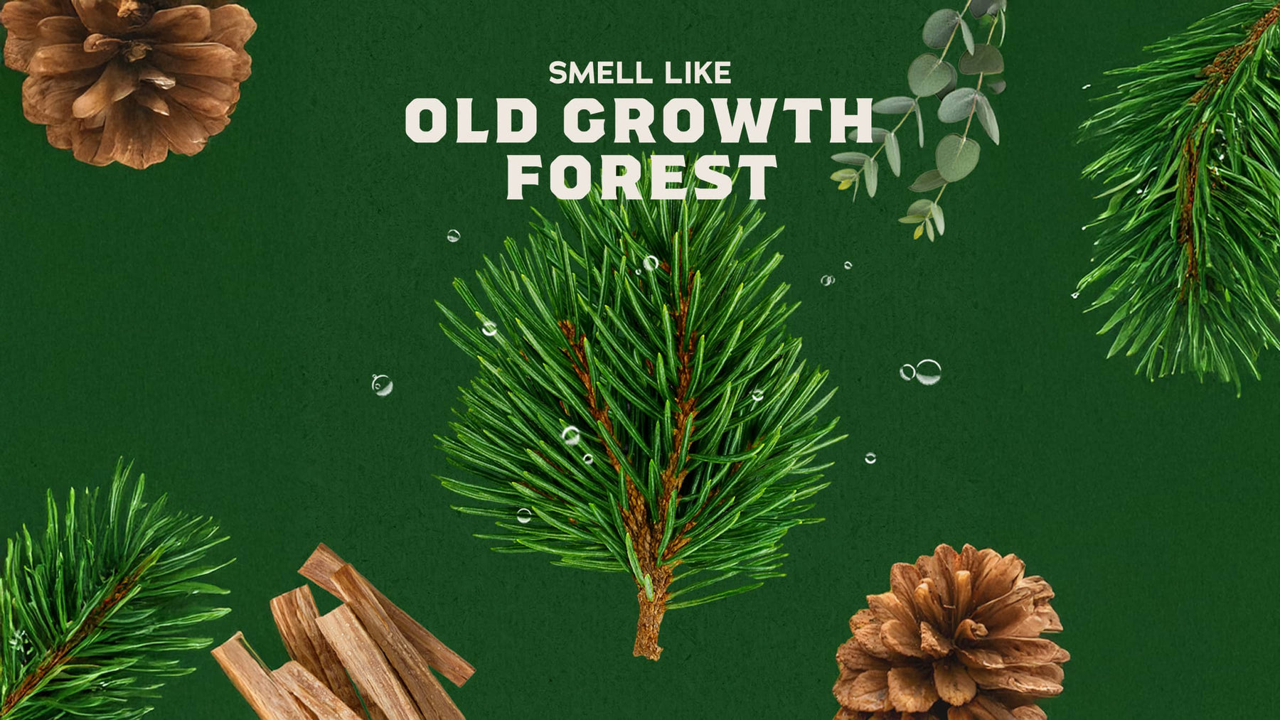 Pine Tar Shampoo - Fresh Daily Wash