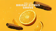 14 oz Summer Citrus Body Wash - Fresh Daily Routine