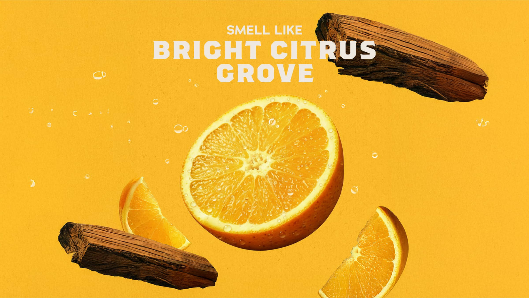 Summer Citrus Deodorant - Fresh Glide