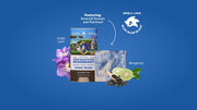 Sonic Speed Super Pack - All Day Fresh